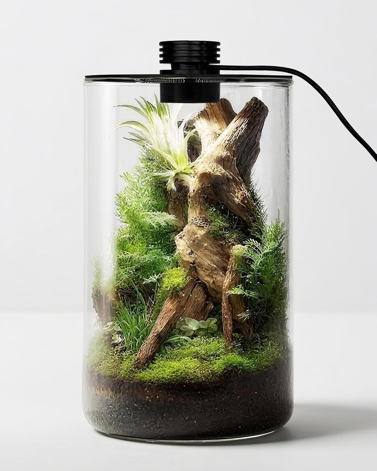 Home Office Lamp - Szklane terrarium wewnętrzne z lampą do