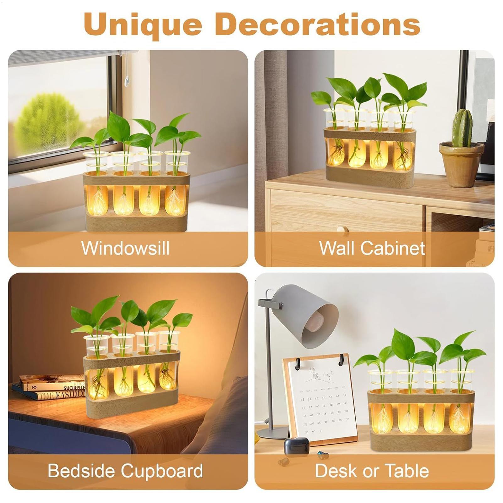 Stacja hydroponiczna LED do ro – Home Office With Plants recenzja i cena