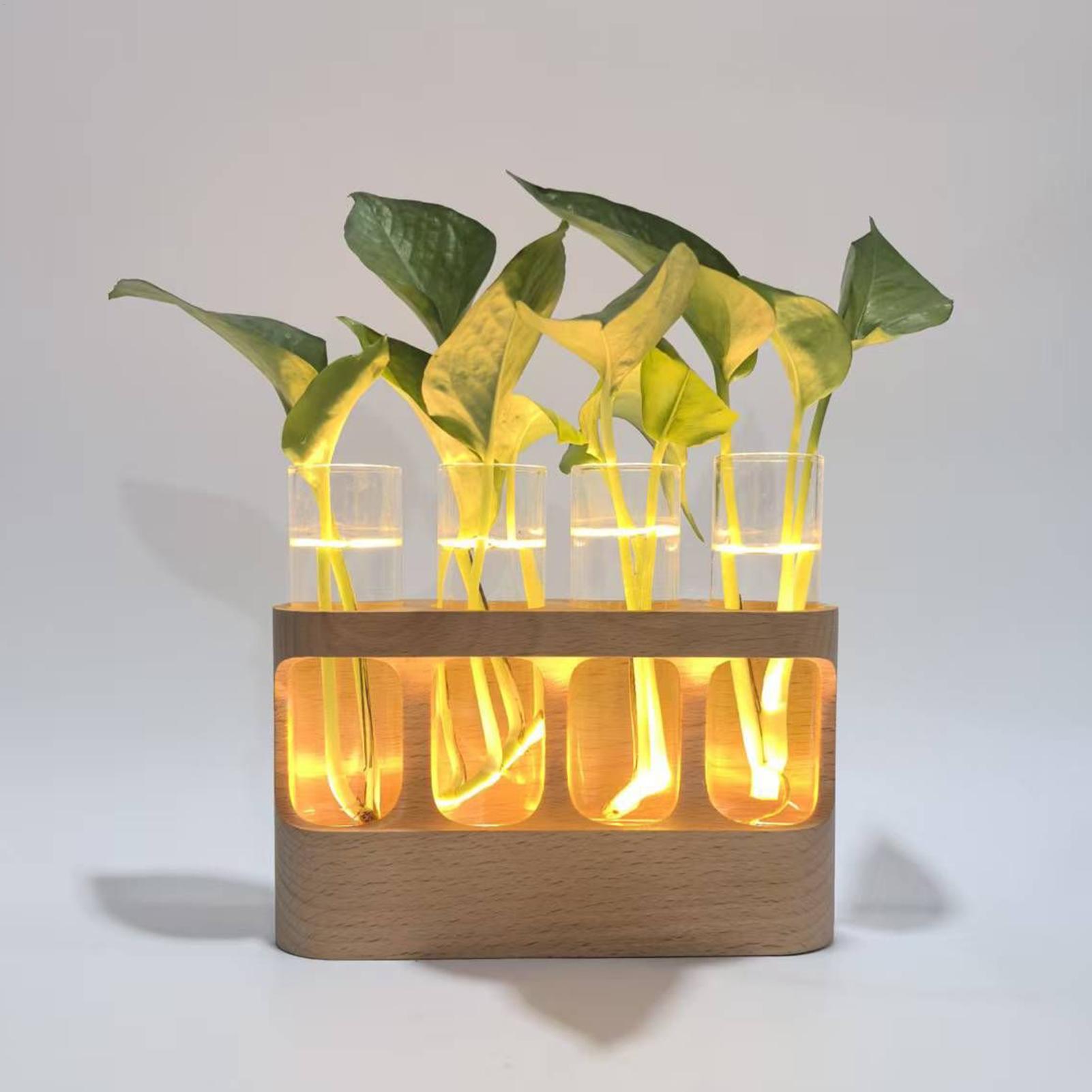 Stacja hydroponiczna LED do ro – Home Office With Plants recenzja i cena