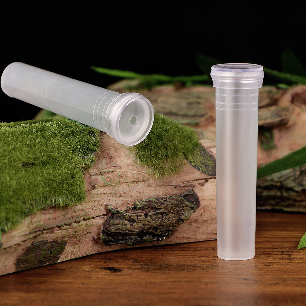 100 szt. Przezroczystych wazon – Home Office With Plants recenzja i cena