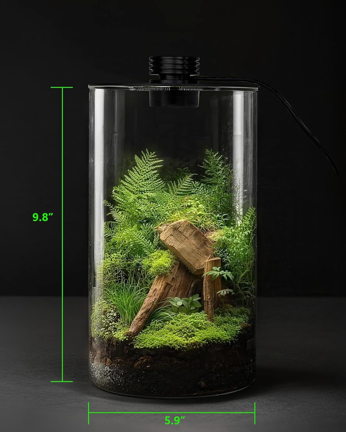 Szklane terrarium wewnętrzne z – Home Office Lamp recenzja i cena