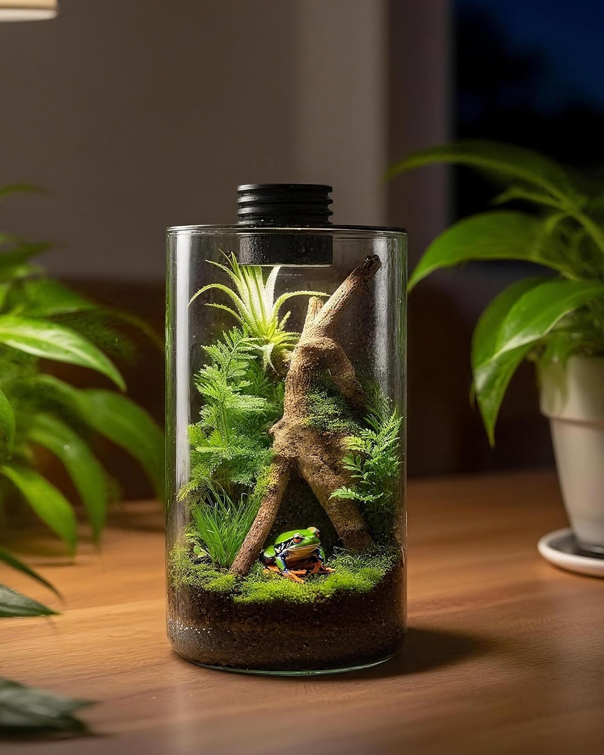 Szklane terrarium wewnętrzne z – Home Office Lamp recenzja i cena