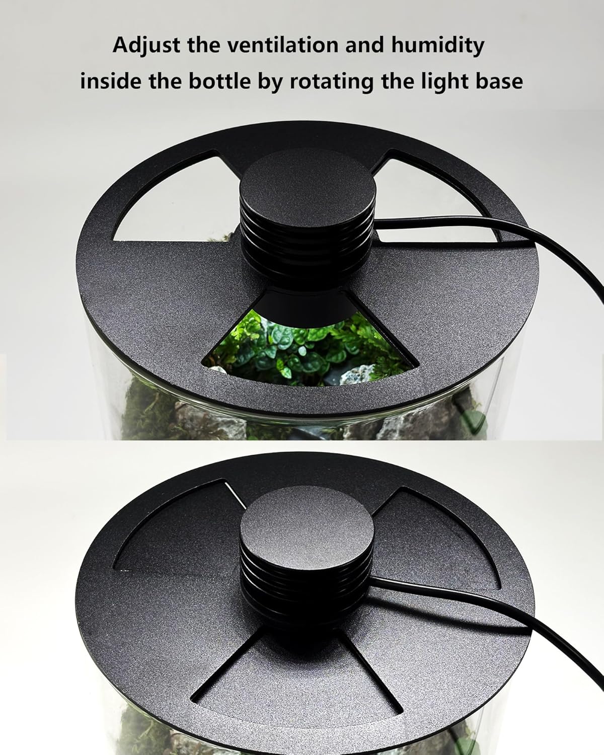 Szklane terrarium wewnętrzne z – Home Office Lamp recenzja i cena